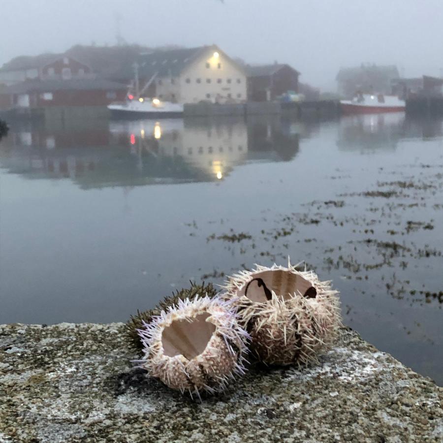 Laukvik Suites Bagian luar foto