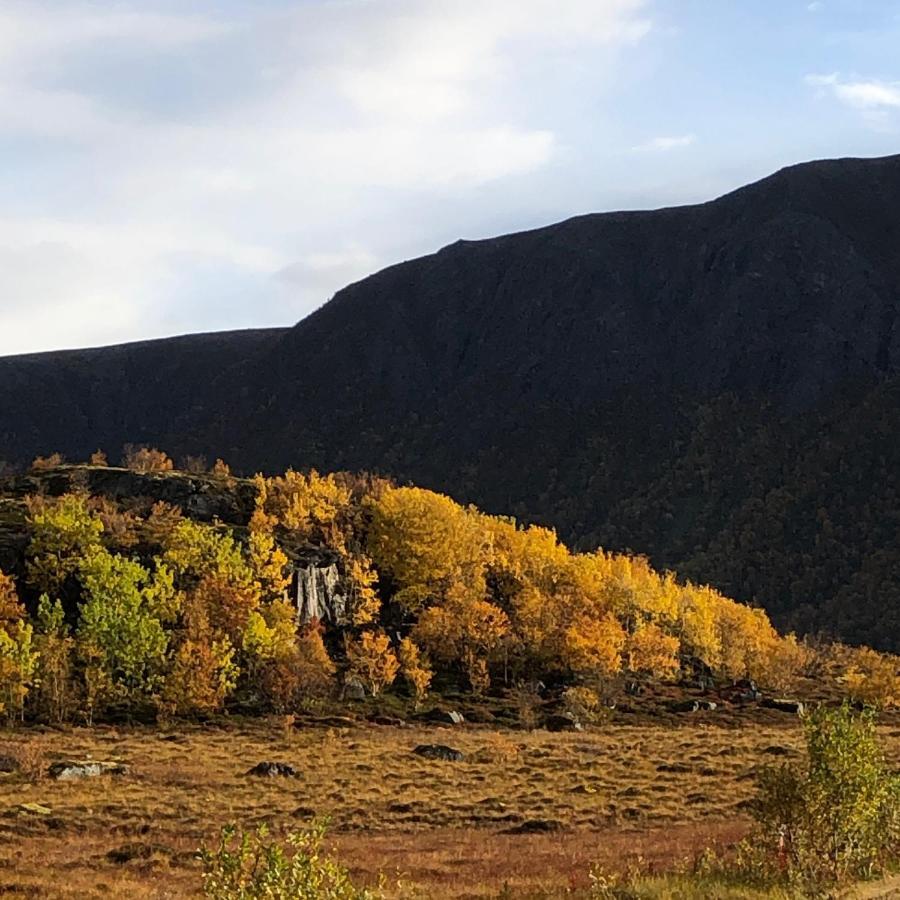 Laukvik Suites Bagian luar foto