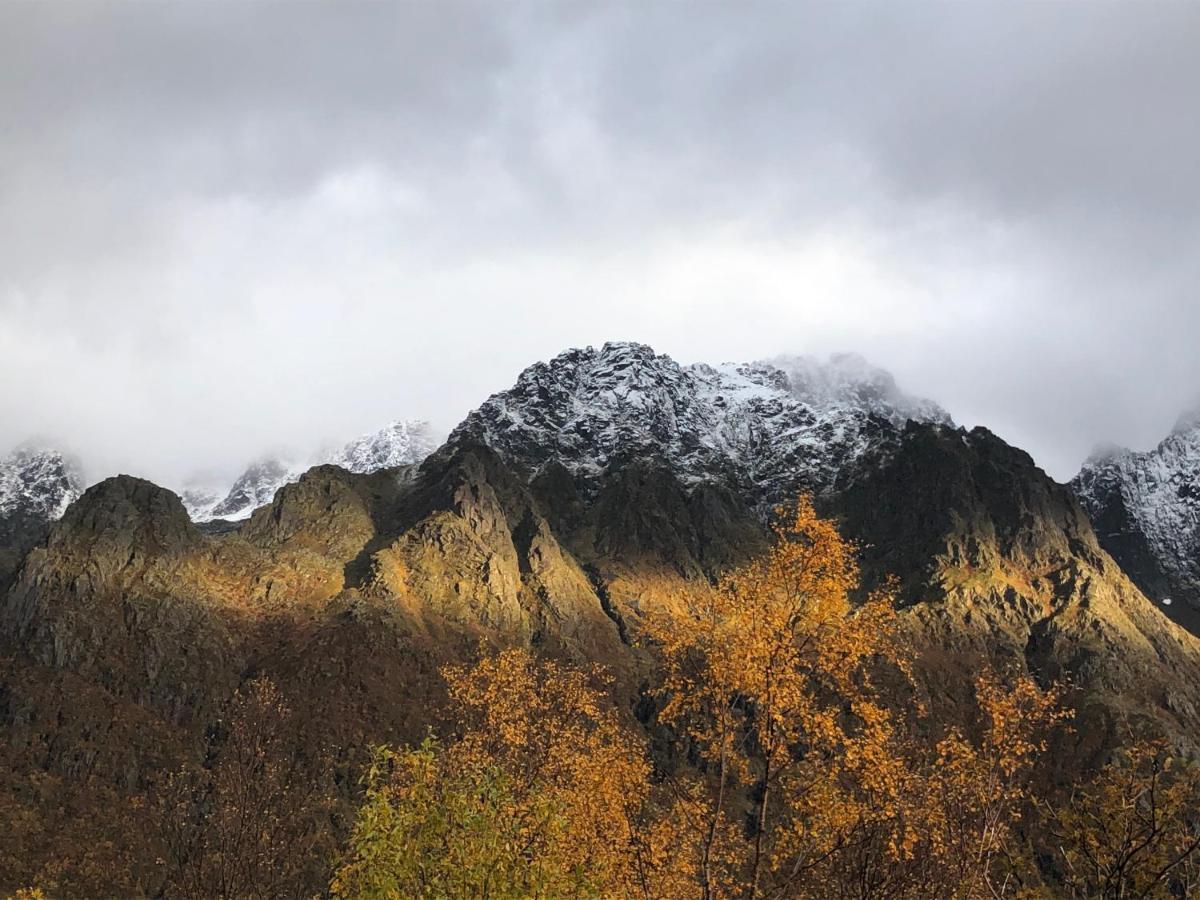 Laukvik Suites Bagian luar foto